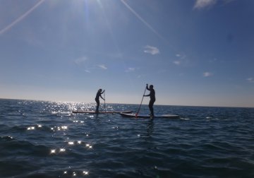 Paddle Surf
(Black Friday)