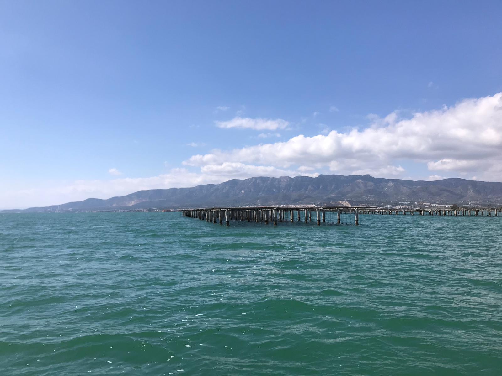 IMG-20190330-WA0015